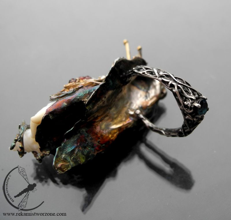 Sea slug (Wiktor) - Image 4