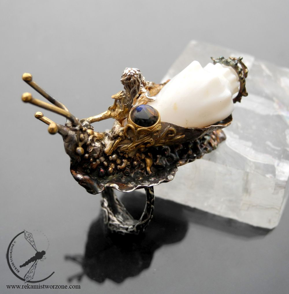 Sea slug (Wiktor) - Image 7