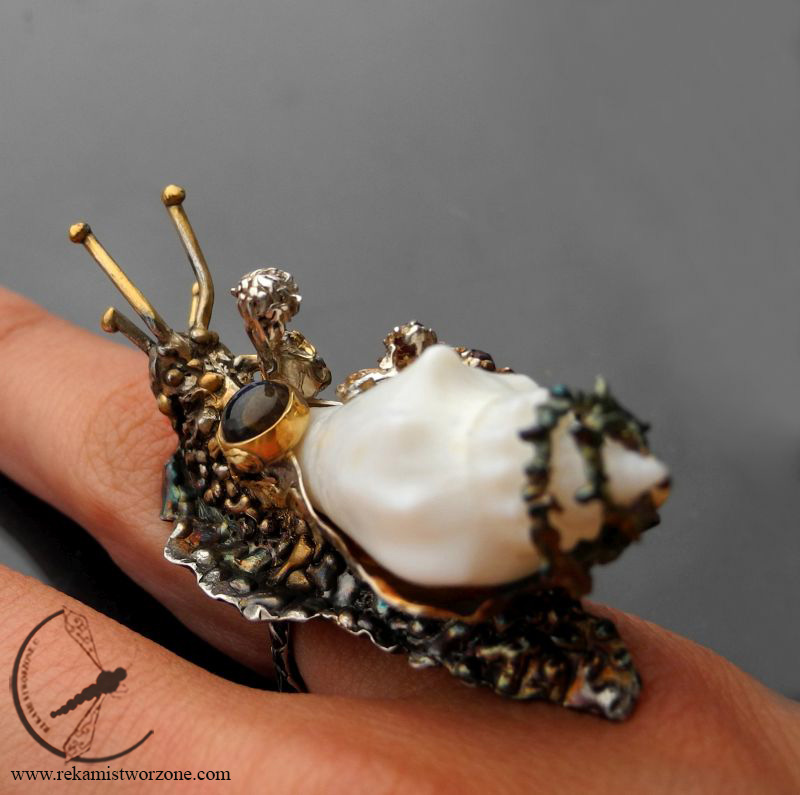 Sea slug (Wiktor) - Image 9